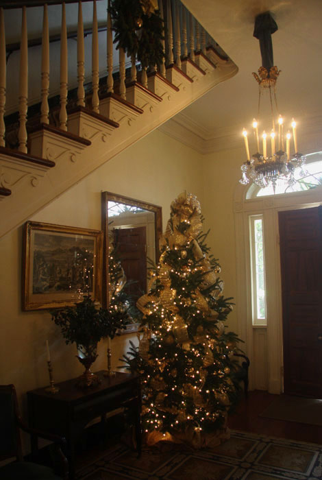 Welcome to Oak Alley Plantation