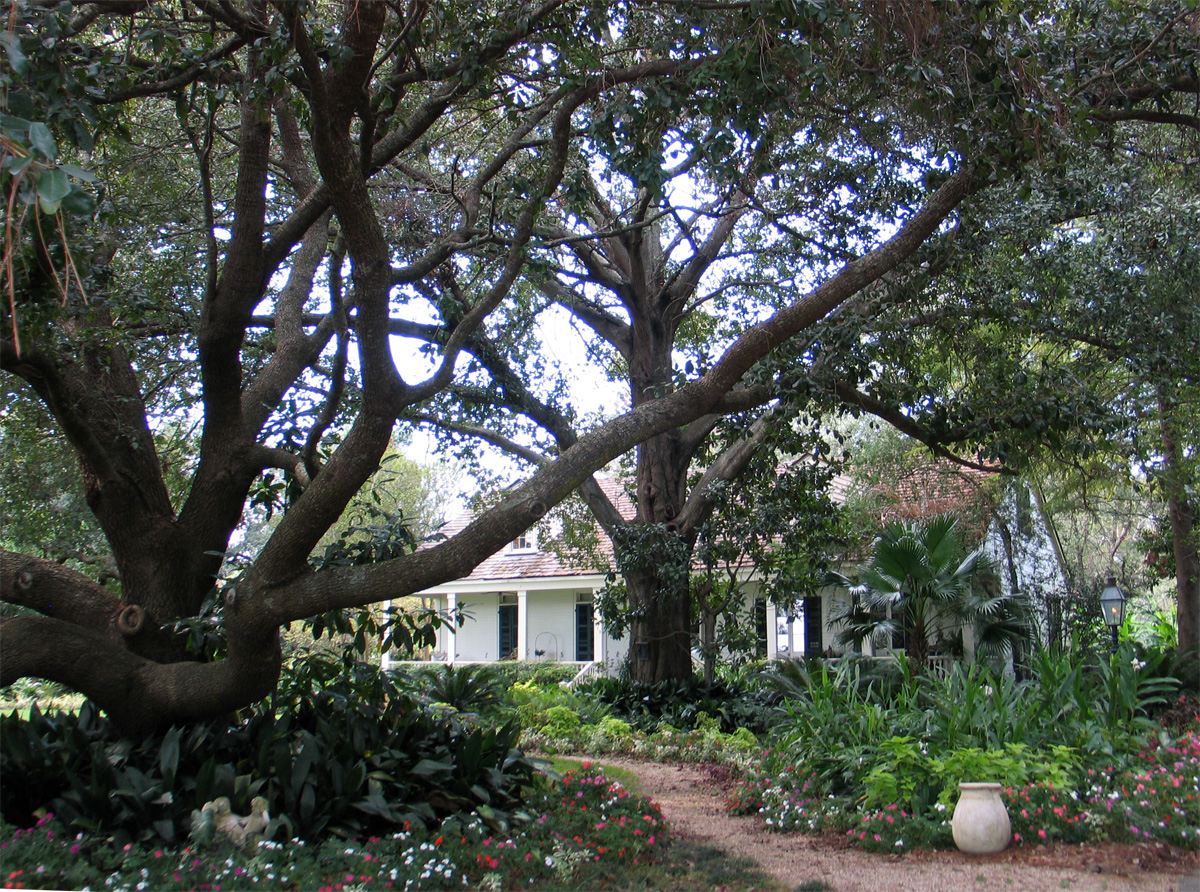 Sarita Bouanchauds Garden