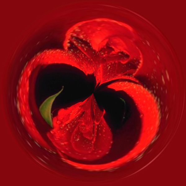 Magic Circle From Rose Photo