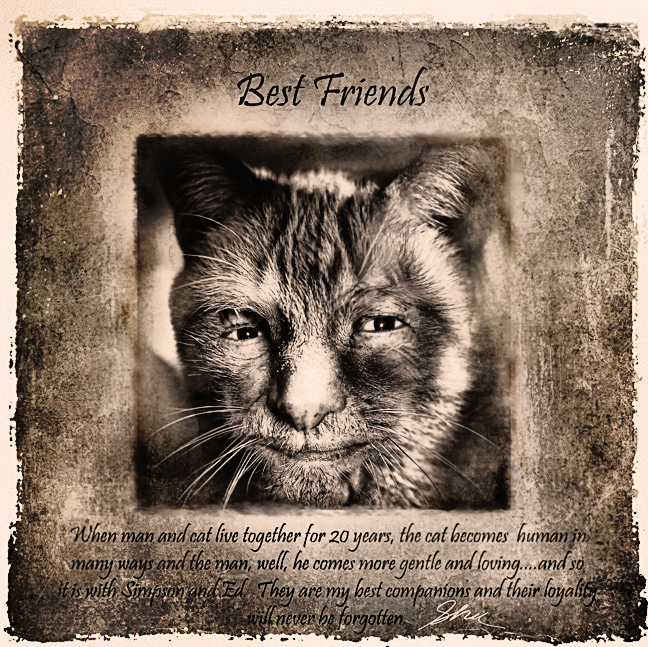 Best Friends Forever