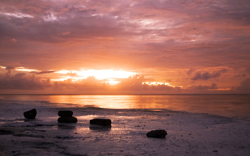 Low Tide at Dawn