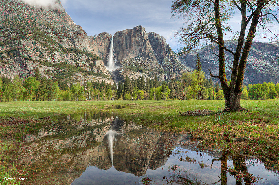 Yosemite Falls Reflection