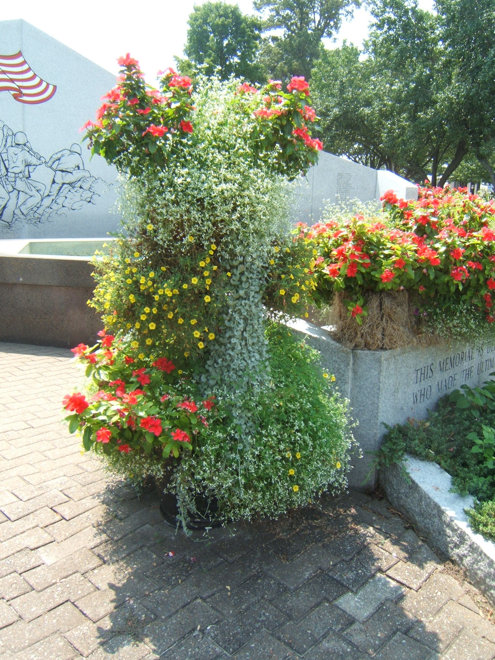 BEAUTIFUL SATURDAY FLOWERS AT THE VETERANS PARK
