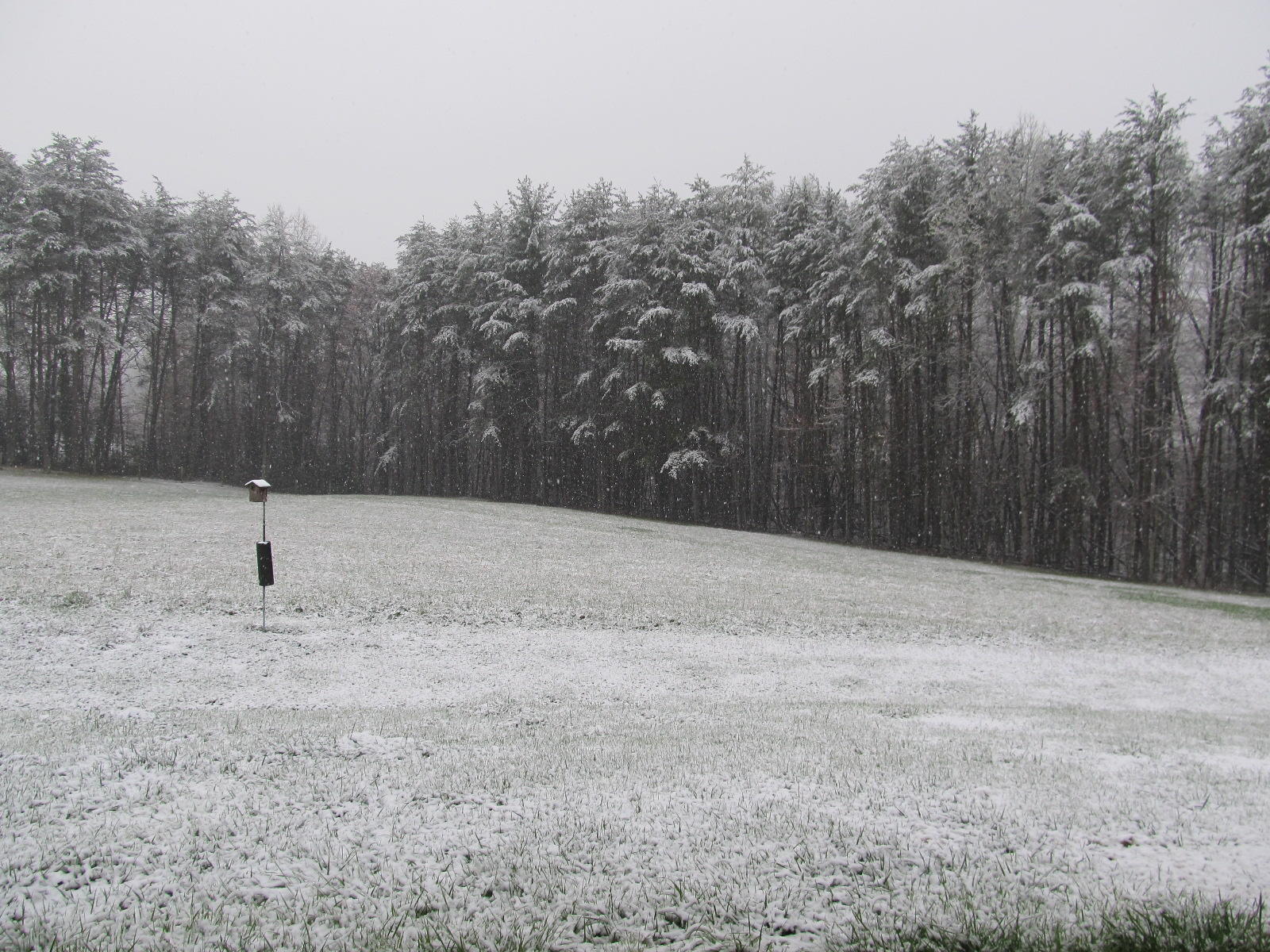 And the field was white - blue bird house