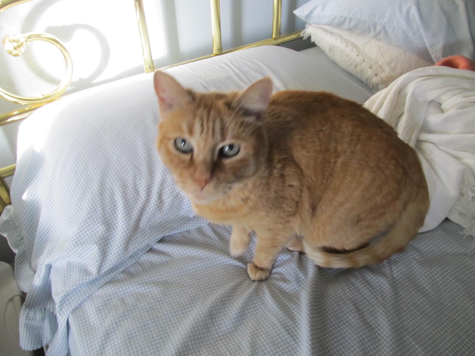  You woke me up, 
