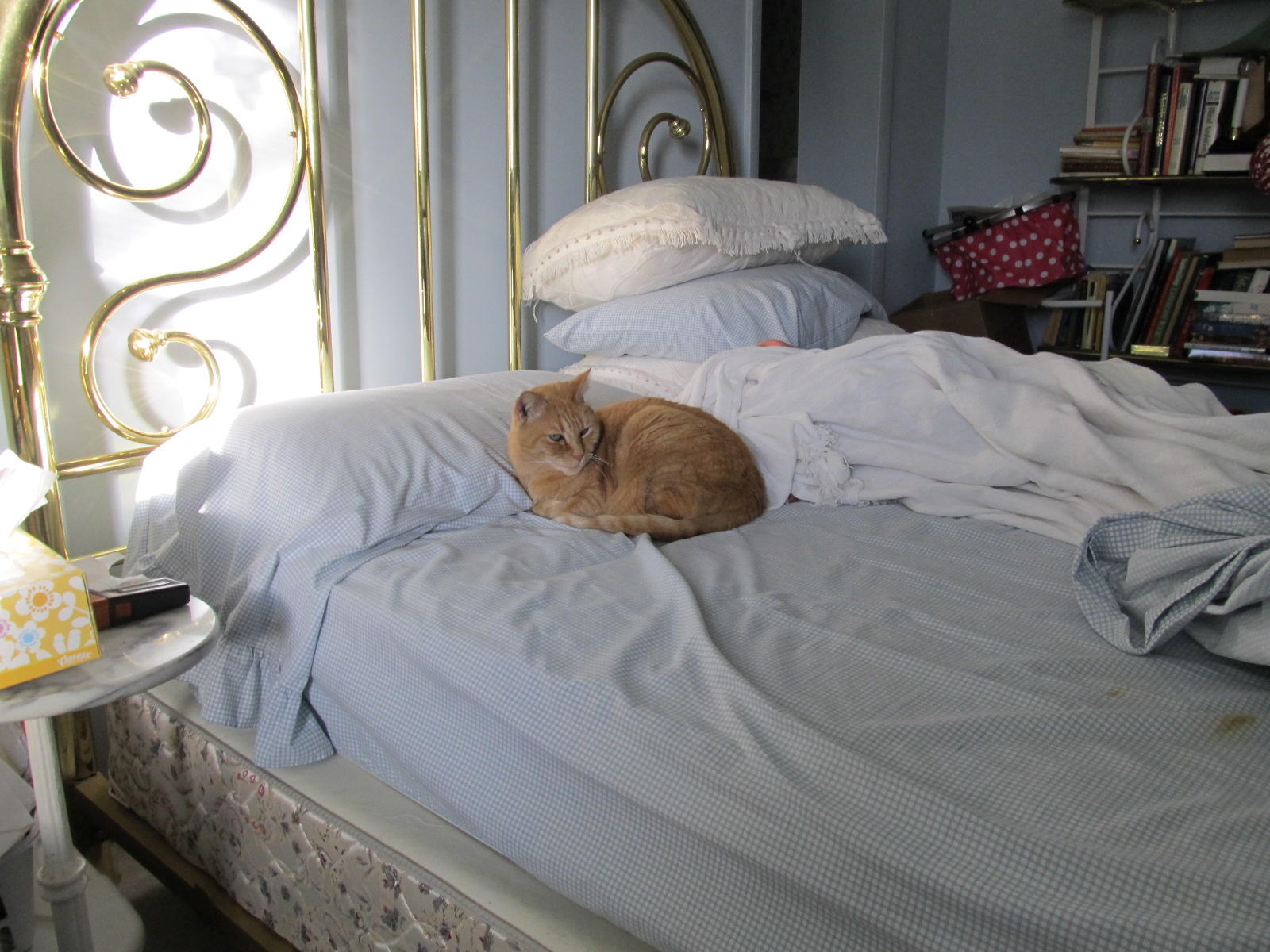 Time to get up?