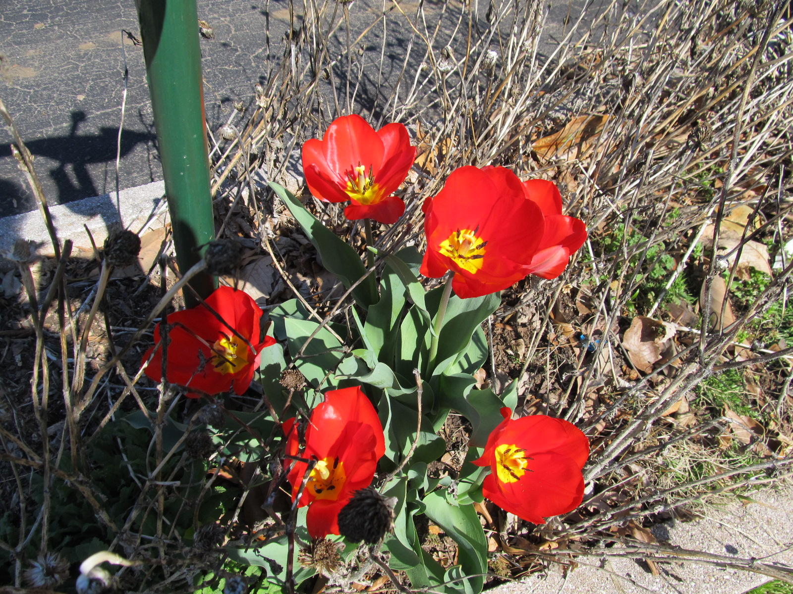 IMG_0366.JPG