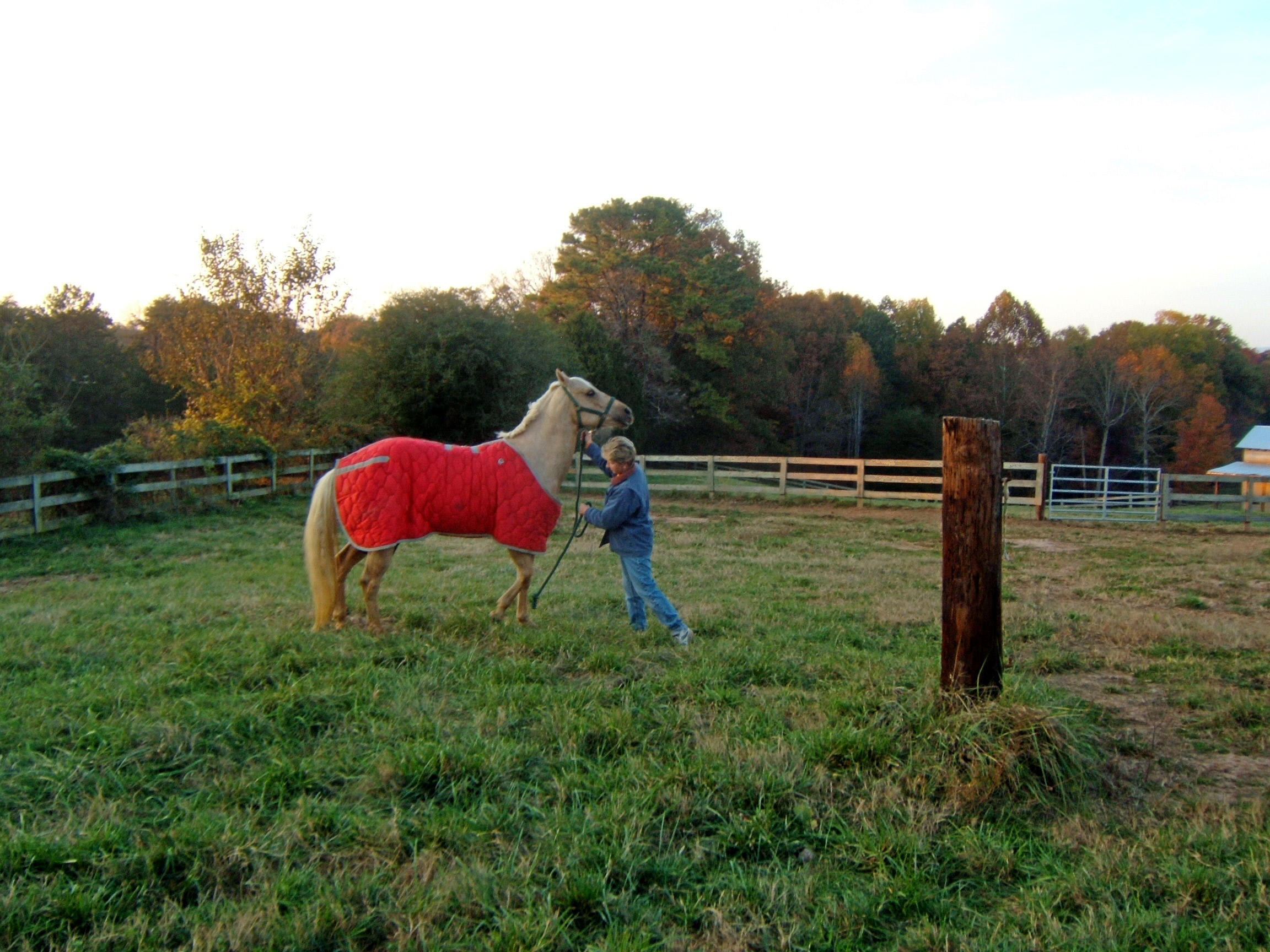       ~~Joyful Noise Farm~~