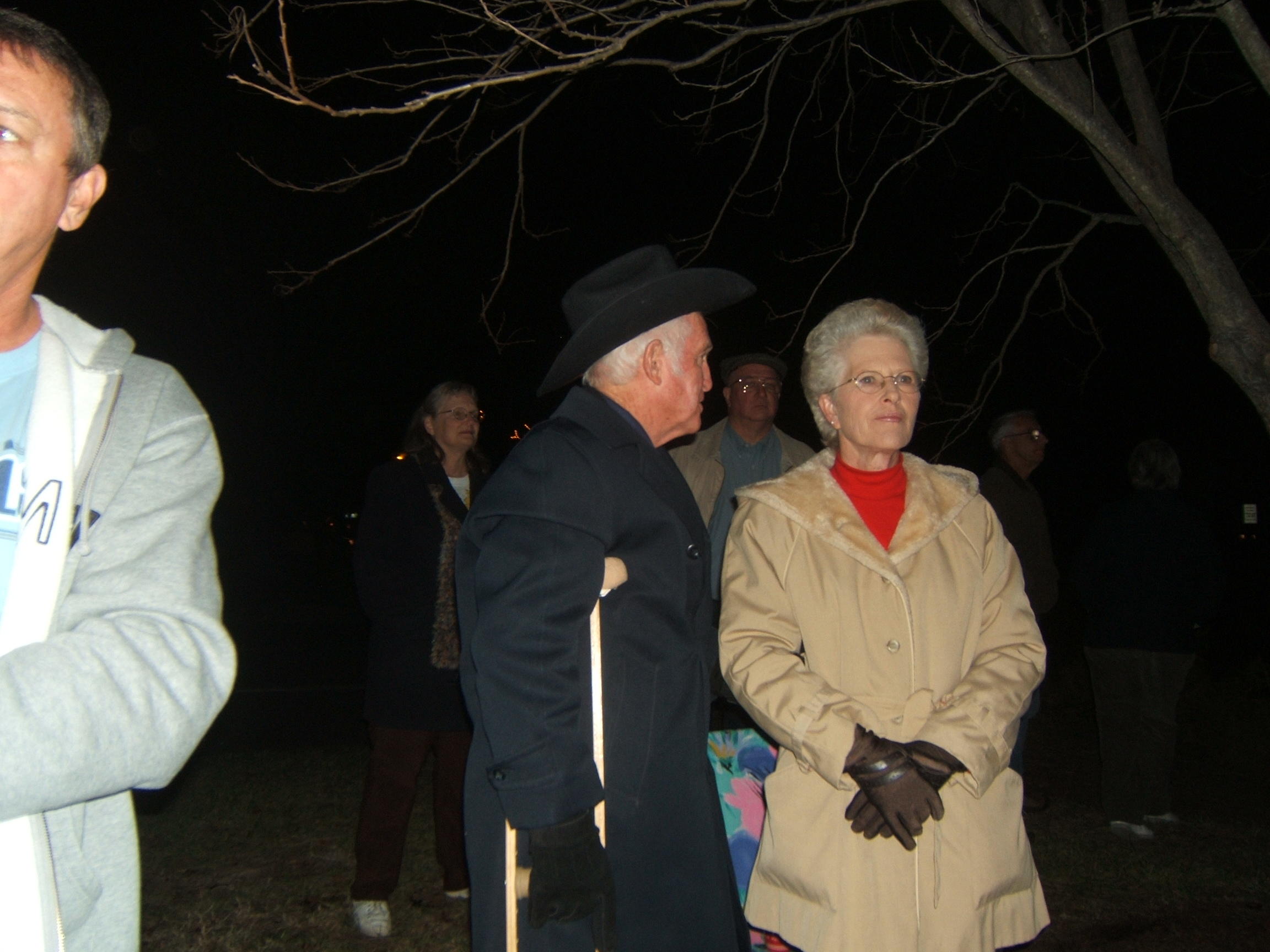 christmas tree lighting
