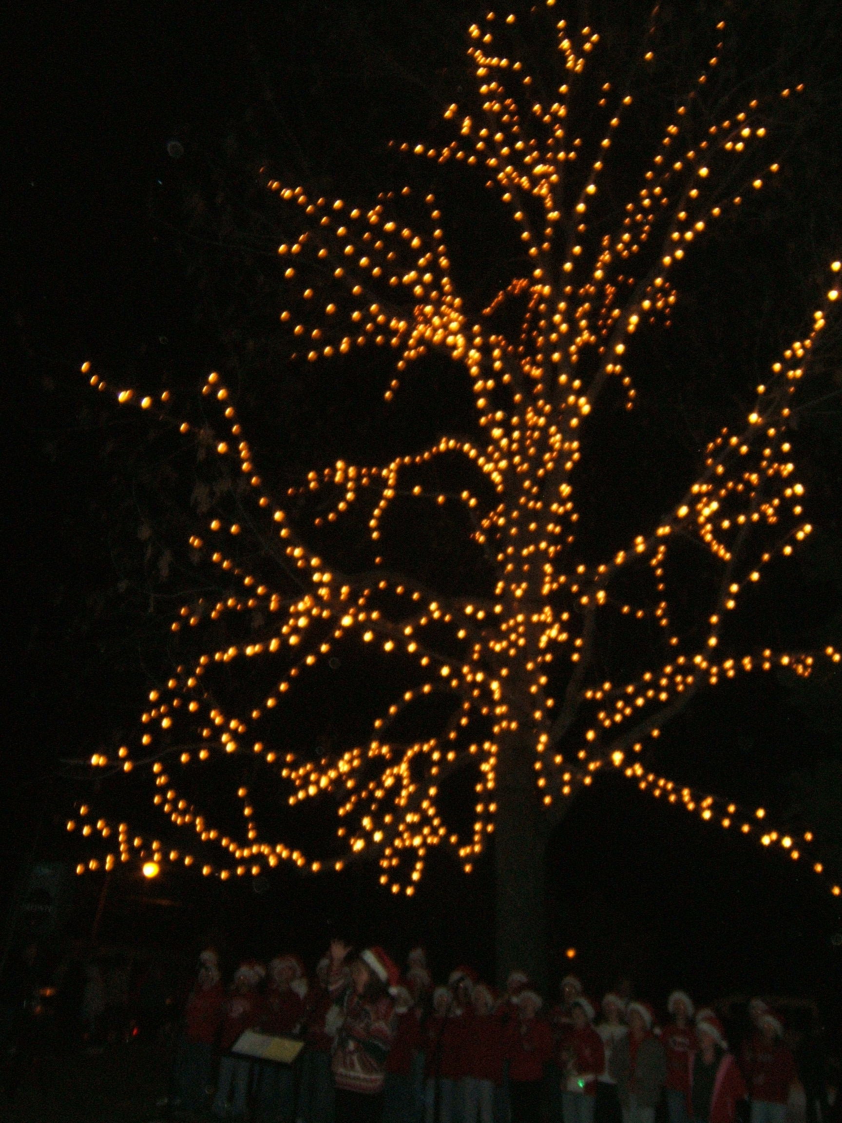      a light for every one