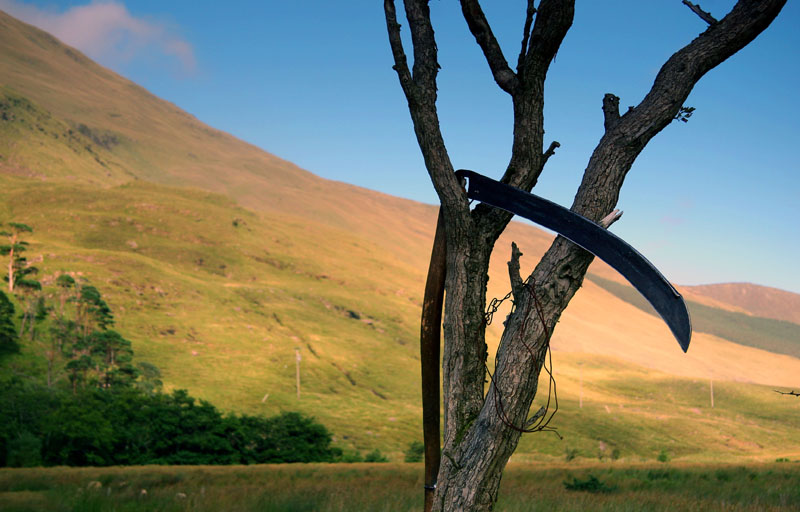 Scythe in a tree