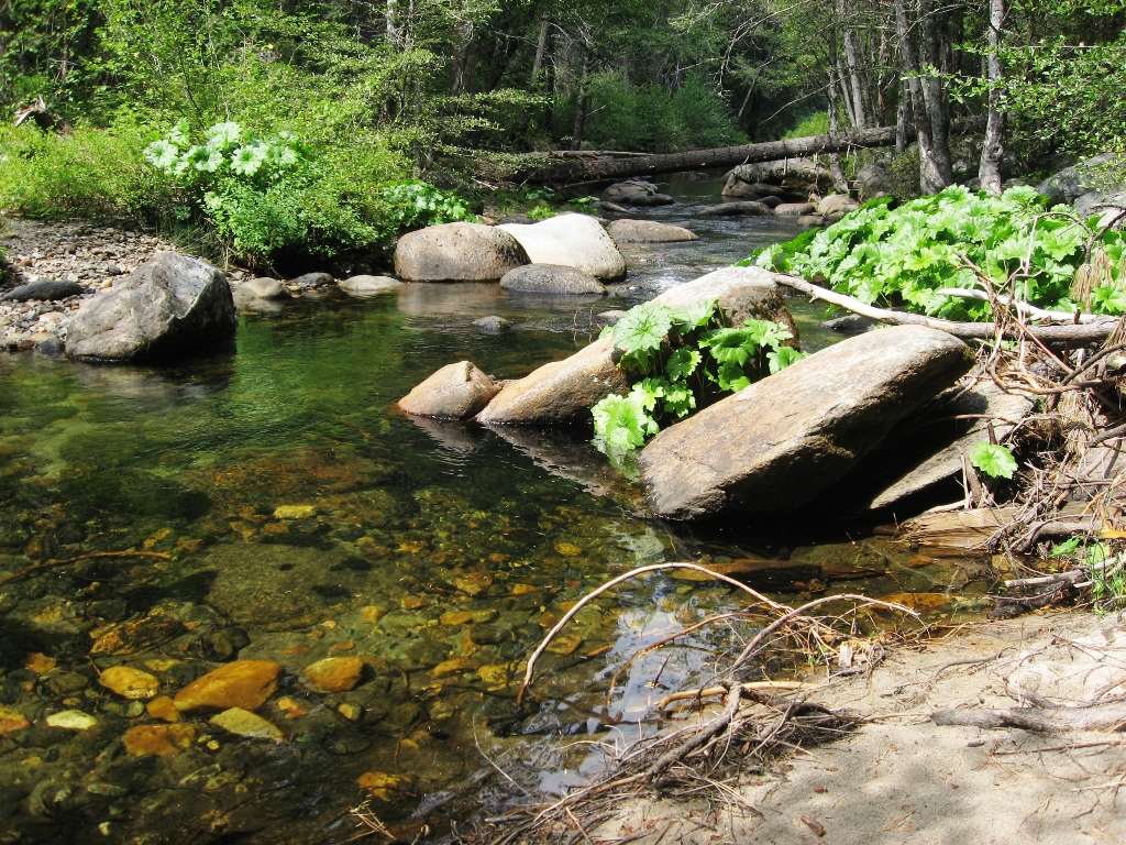 River Scene