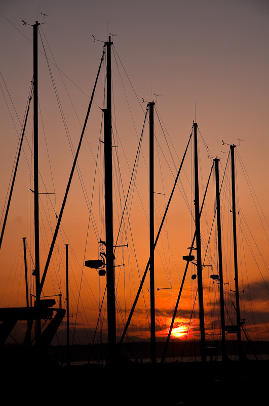 Edmonds Waterfront-7163-1.jpg