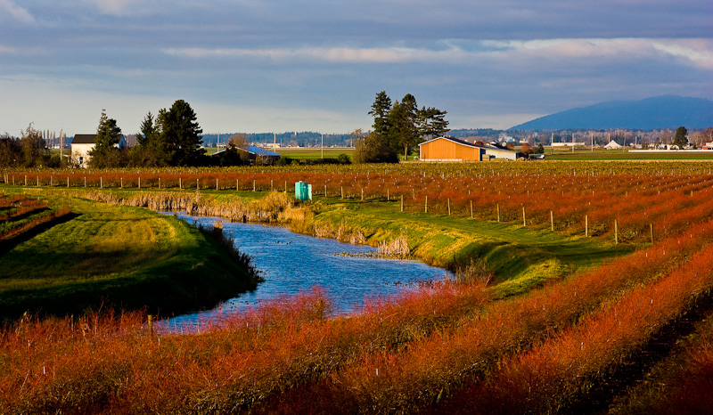 Skagit County-1769-1.jpg