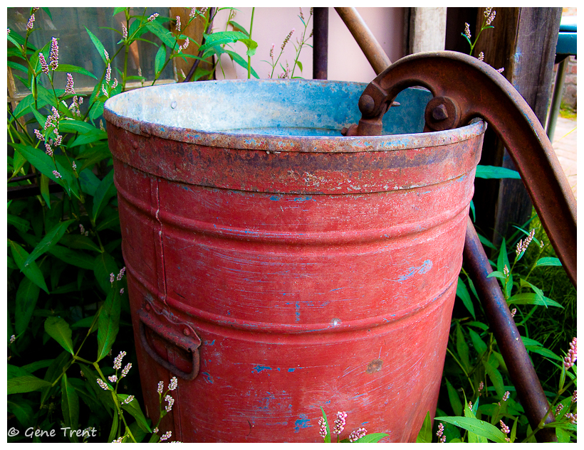 Red bucket-0069.jpg