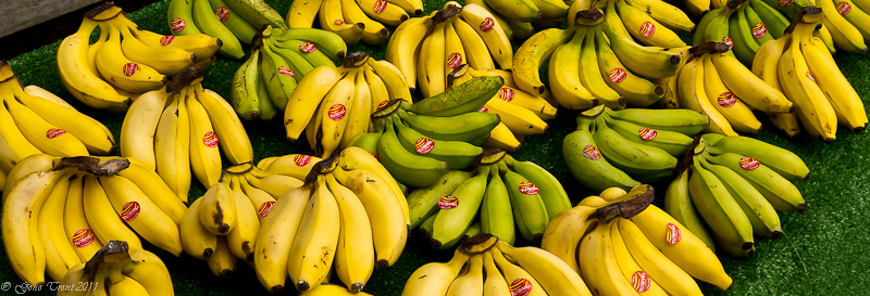 Baby nanas-1010908.jpg