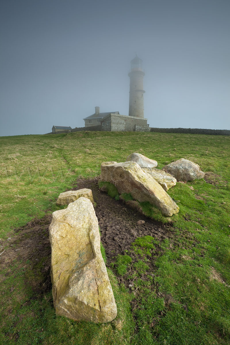 Sea-Fogged