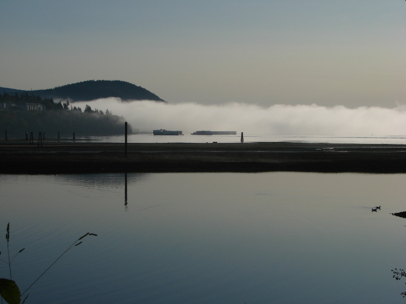 Original of Morning Fog....by willvan