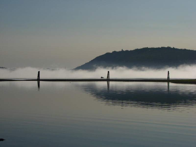 Original of Morning Fog 2 .......by willvan