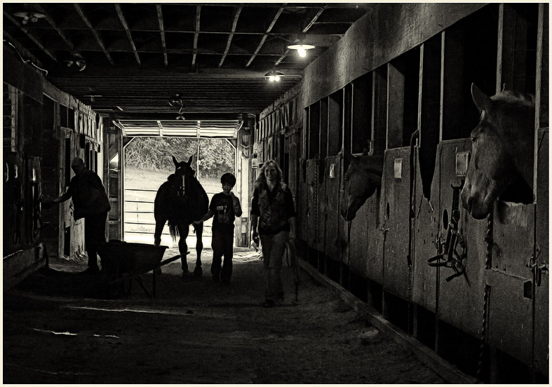 the barn