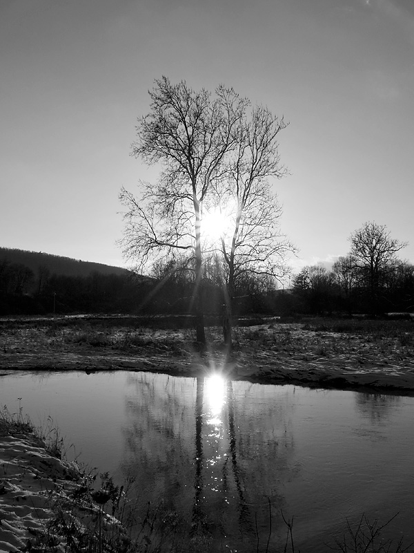 Owego creek
