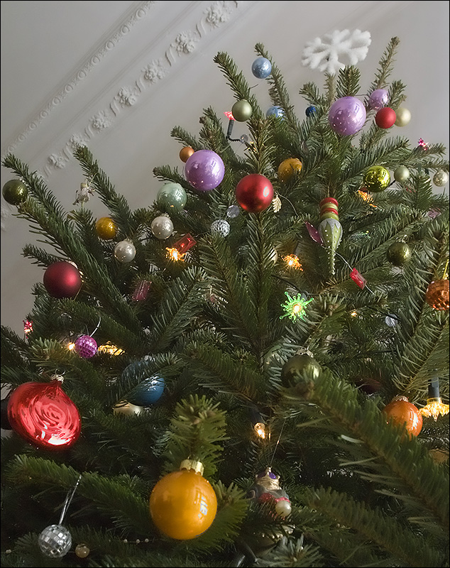O Tannenbaum<br>by Franky2005