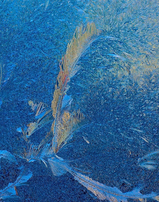 Ice Crystals 1 by georgefm
