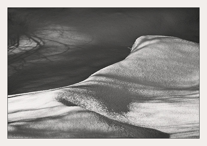 Snowlight<br><b>HM</b><br>by mlynn