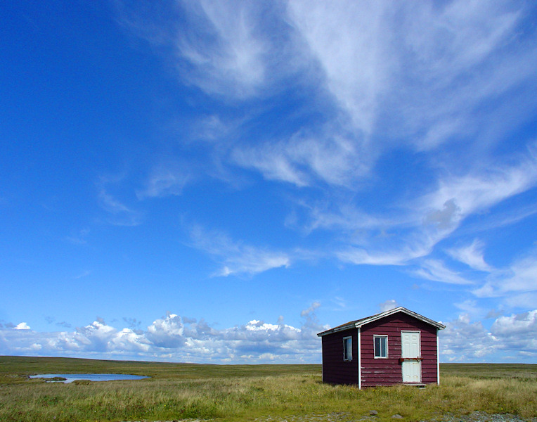 Gallery Header