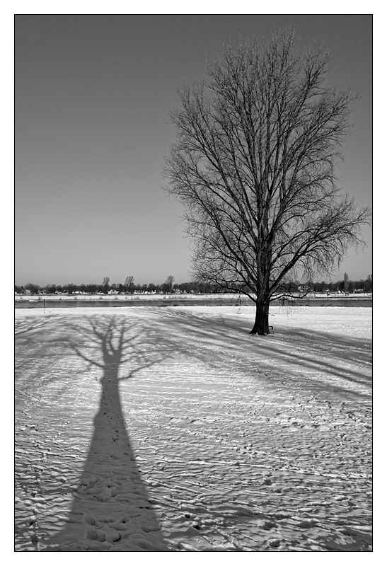 Two Friends<br><B>6th Place</b><br>by Franky2005