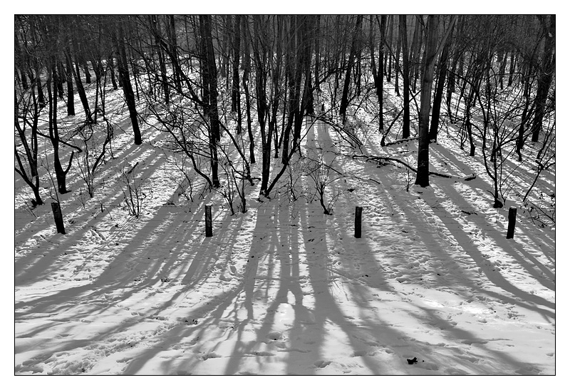 Winter Sun<br>by Franky2005