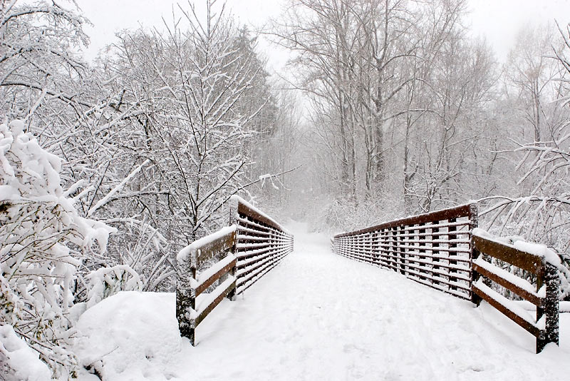 5th: Snowy Bridge