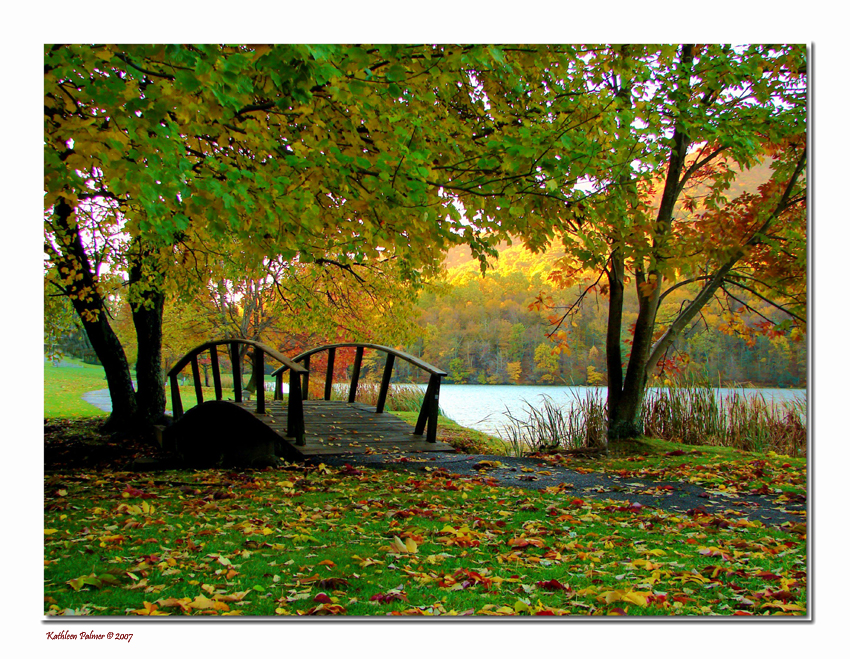 2nd: Bridge Into Fall<br>by Kathleen Palmer