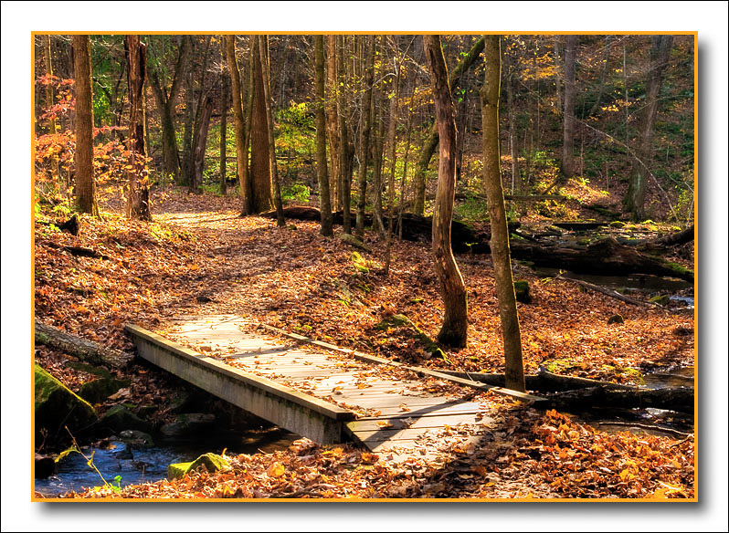 little footbridge
