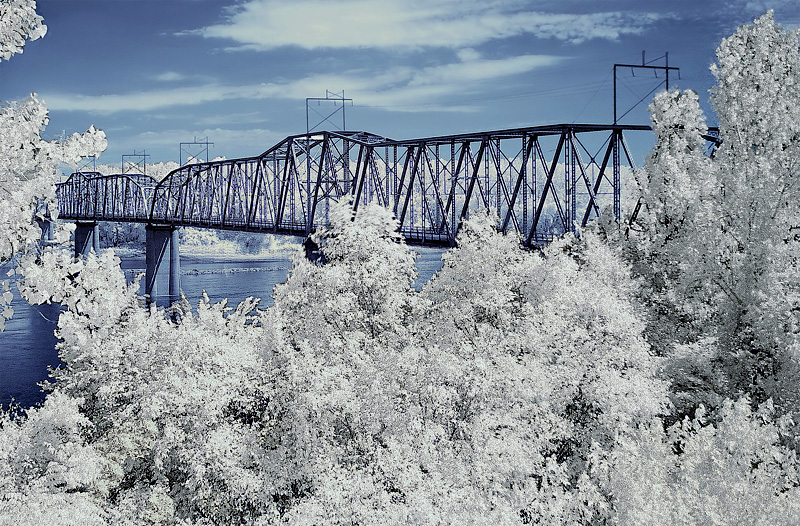 4th: Over the River and Through the Woods
