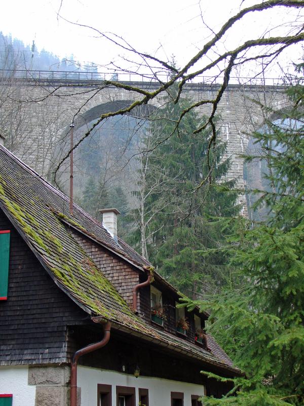 In the Black Forest of Germany