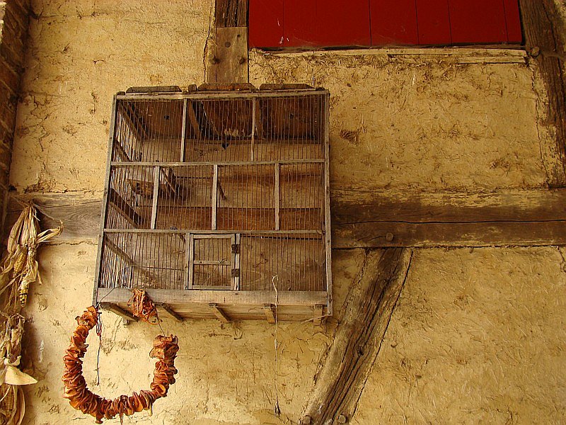 Bird cage<br>by geetwee