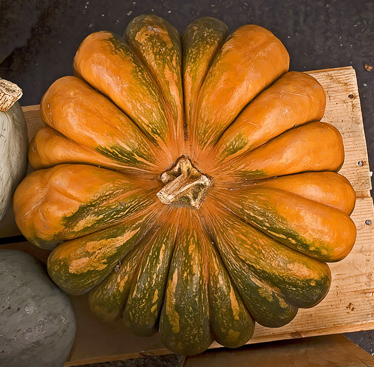 Fairyland Pumpkin<br> by inframan