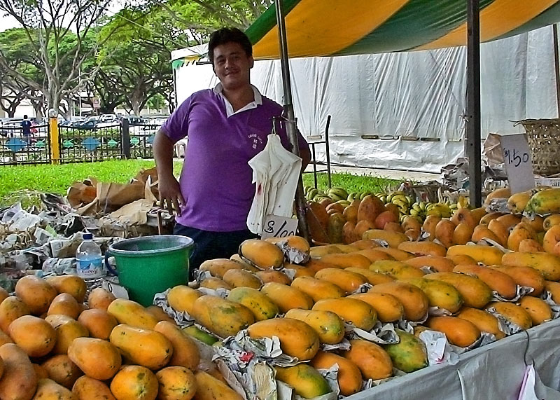 Wonna Papaya ?