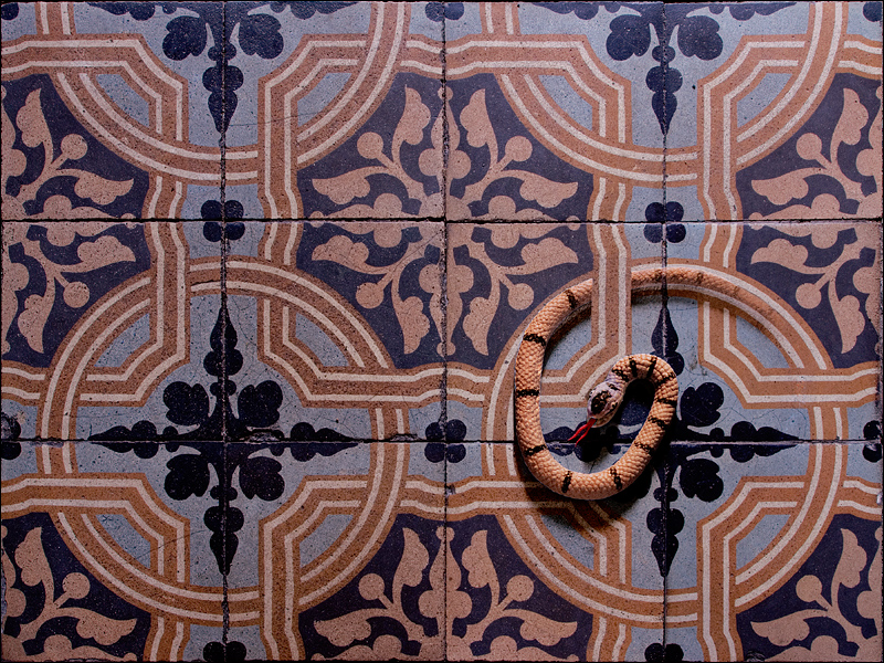 <b> 6th Place </b> <br>Tricky Tiles *<br>by Franky2005