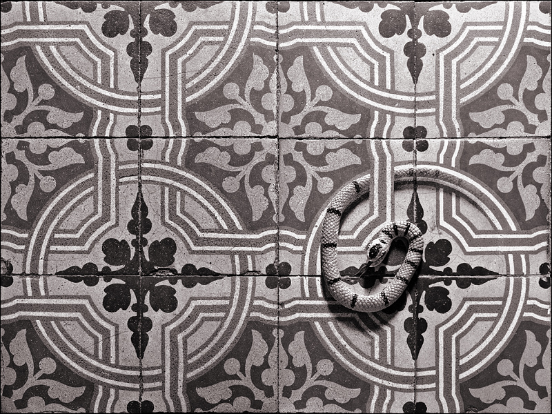 Tricky Tiles loose colors<br>by Franky2005