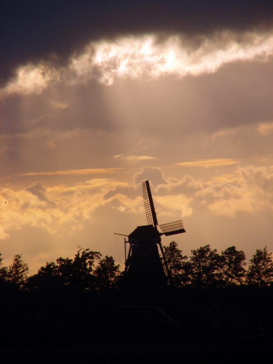 Sunshine after rain <br>by Boros
