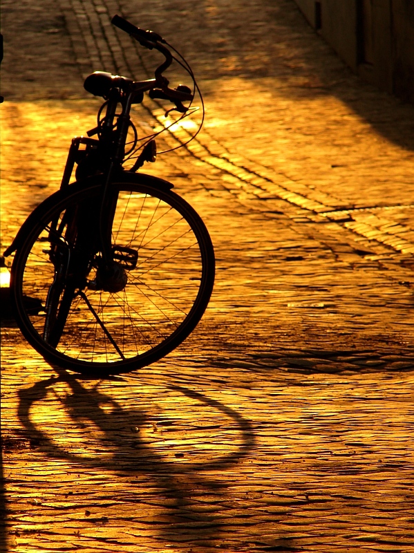 <b>2nd Place</b><br>La bicyclette sur la rue dor<br> by geetwee