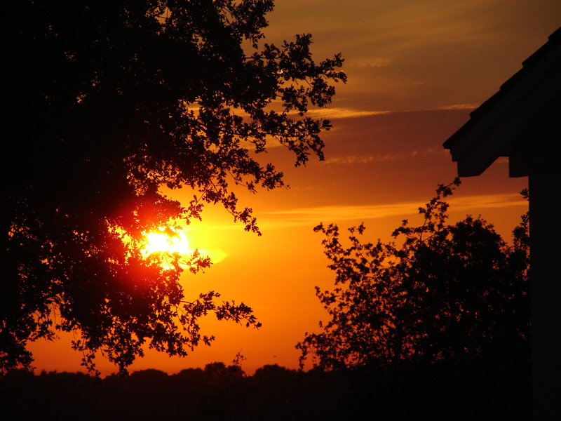 Sunset on the Ranch<br>by Ed Lindquist