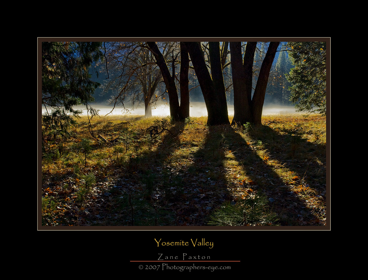 11132007-Yosemite-ZP-100