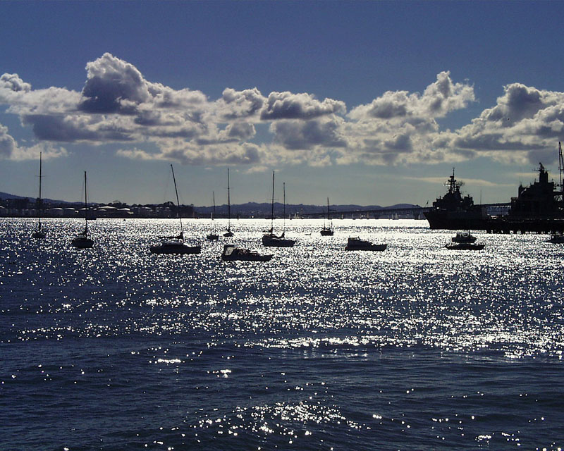 Harbour.jpg