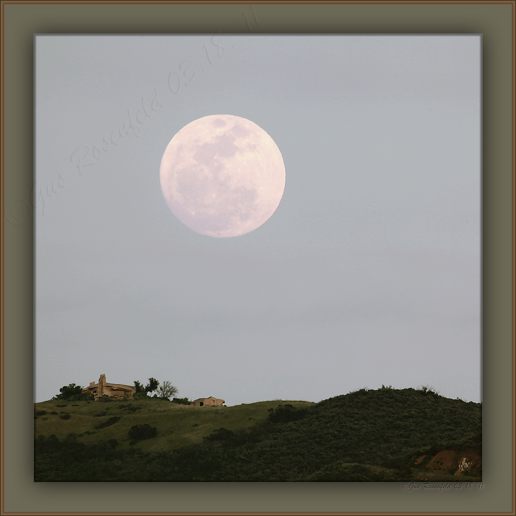Perigee Moon 2011 - Yes, It Was Really This *BIG*