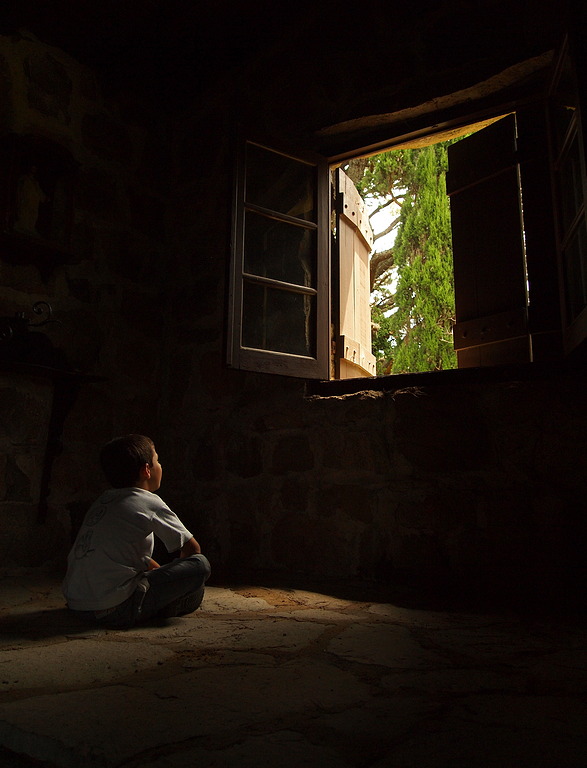 1st place, C195 Side lighting: Dreaming - Moncho