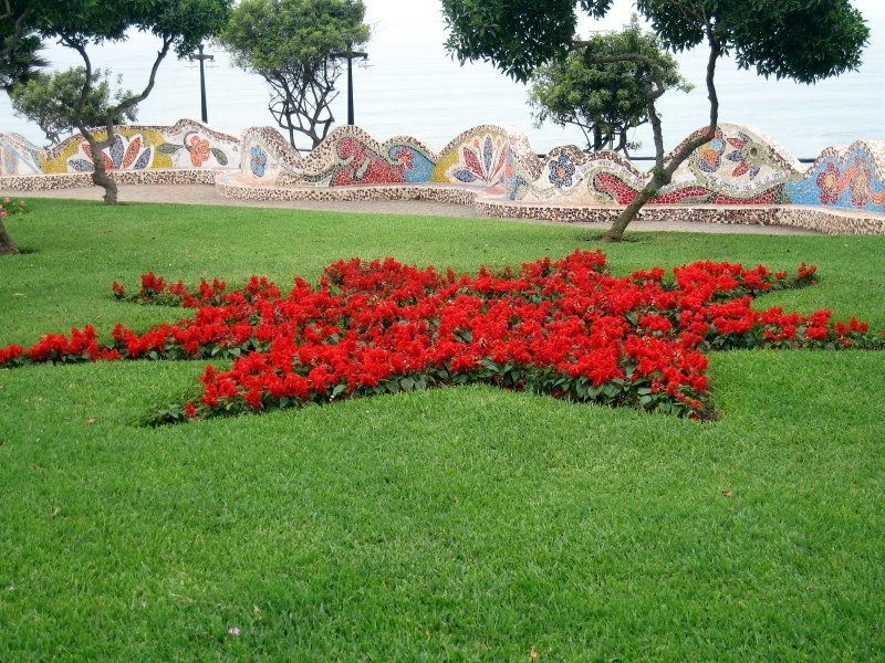 IMG_0011.JPG Lima