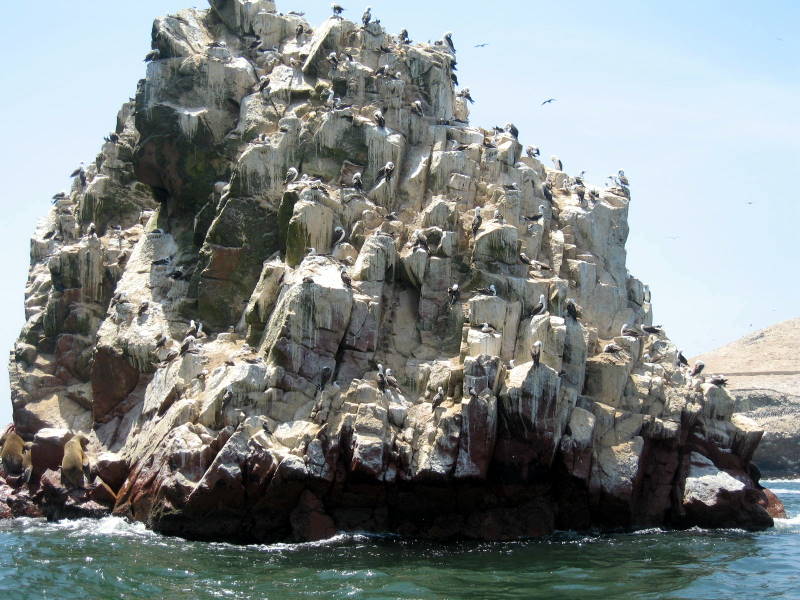 IMG_0059.JPG Islas Ballistas